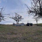 A45 beim Obstbaumschnitt